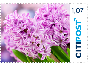 Markenheft Kompaktbrief "Hyazinthe" 1,07 €