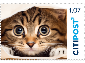 Markenheft Kompaktbrief "Katze" 1,07 €