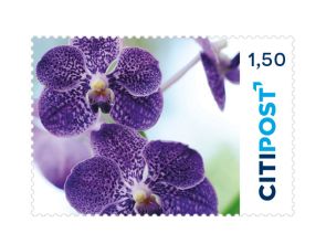 Markenheft Großbrief "Orchidee" 1,50 €