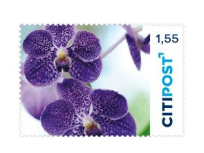 100er Bündelangebot* - Markenheft Großbrief "Orchidee" 1,55 €