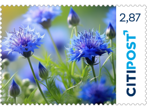 Markenheft Maxibrief "Kornblume" 2,87 €