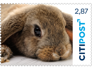 Markenheft Maxibrief "Kaninchen" 2,87 €