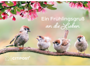Ganzsachenkarte "Frühlingsgruße an die Lieben" 0,65 €