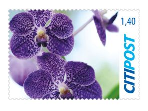 Markenheft Großbrief "Orchidee" 1,40 €