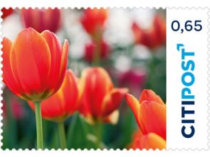 Markenheft Postkarte "Tulpe" 0,65 €