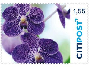 Markenheft Großbrief "Orchidee" 1,55 €